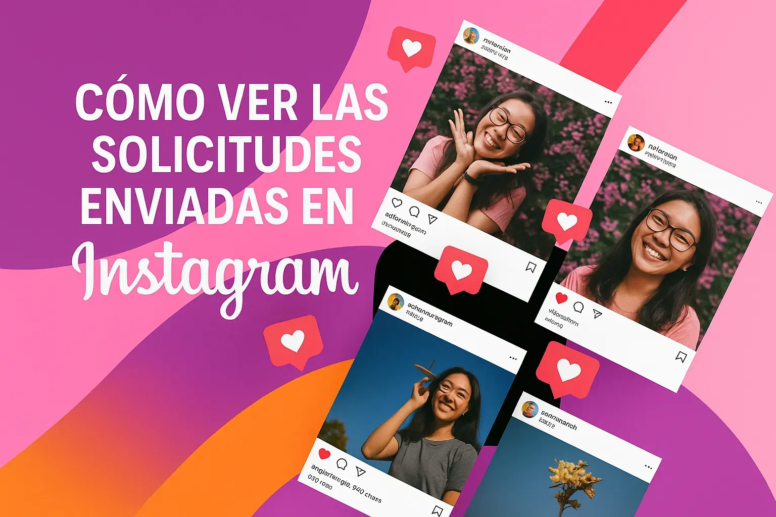 Solicitudes Enviadas Instagram